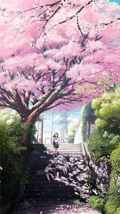 Background pemandangan taman bunga sakura 3 background sumber : Iphone Sakura Wallpaper Anime