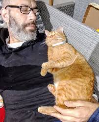 Admiration for Walter in Episcopal Cats