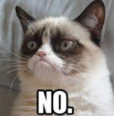 Take The Quiz Which Cat Meme Are You Printed Com