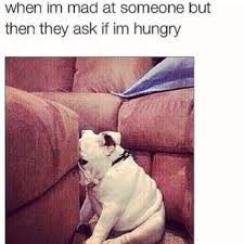 When Someone Offers You Food It Becomes Instantly Impossible To Stay Mad At Them Im Mad Funny Pictures Funny Memes