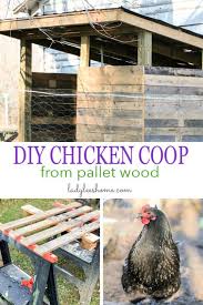 Lightspeeeed / flickr there's been a huge uptick in the number of people keeping chickens in their urban and suburban backyards. 20 Pallet Chicken Coop Plans You Can Build On Low Budget Diy Crafts