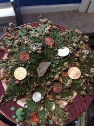 Rose Of Jericho The Resurrection Plant Plant Decor Jericho Rose Planting Roses