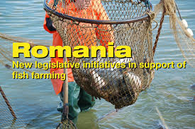 Yellow card for alexandru chipciu (romania). Eurofish Magazine 2 2019 Featuring Romania And Montenegro Eurofish Magazine