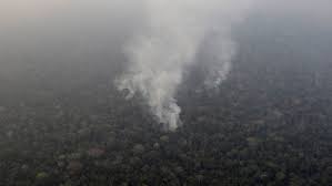 Amazon brazil's best free dating site! Amazon Rain Forests Are On Fire And Brazil Faces A Global Backlash The New York Times