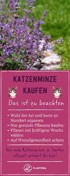 Pin Auf Artenschutz