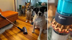 Flooded in or fishing: Flooding impacts Rice County residents