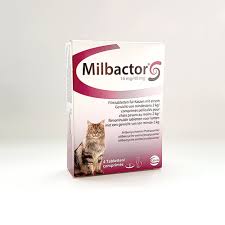 Normalerweise reicht eine einmalige kur aus, um dem wurmbefall ein ende zu setzen. Milbactor Entwurmungsmittel Fur Katzen Ab 2 Kg Gunstig