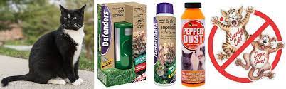 Rush outside waving the broom in front of you, snarl a lot and it keeps out rabbits too. How To Stop Cats Pooping In Your Garden Repellents Sonic Devices Natural Deterrents Pyracantha Co Uk