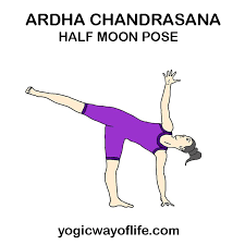 Half Moon Pose Ardha Chandrasana Improve Your Balance Yoga Asanas Names Yoga Poses Yoga Images