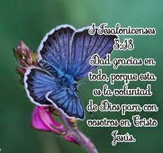 Pin By Silvia On Versiculos Biblicos Animals