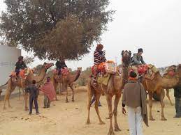 See 75 reviews, articles, and 64 photos of bikaner camel safari, ranked no.2 on tripadvisor among 13 attractions in bikaner. Starting Point Picture Of Camel Safari Bikaner Tripadvisor