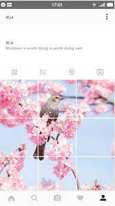 From shipping containers to beachy abodes, these tiny home accounts on instagram will inspire you to give up the ordinary and learn how to live tiny. 9cut For Instagram Free Apk Download For Android