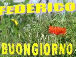 Check spelling or type a new query. 18 Luglio Buon Onomastico Federico E Federica Ecco Immagini Video E Frasi Per Gli Auguri Su Whatsapp E Facebook