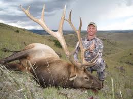 The hunting consists of spot and stalk or ambush hunting from blinds. Budget 101 How To Hunt Elk Every Year Gohunt