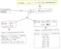 Hematology Wordsology