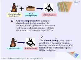 Ch 9 Learning Principles And Applications Ppt Download