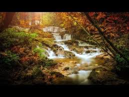 Leo Rojas Celeste веселая музыка в исполнении индейца скачать Musique Relaxante Celtique Musique Pour Flute Et Harpe Belle Musique Musique Relaxante 86 Yo Musique Relaxante Musique Romantique Musique De Meditation