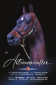 Superior Morgan Sale