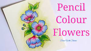 Easy Flowers Using Pencil Colors Colored Pencil Shading Flowers Youtube 7 fundamentals of pencil drawing. easy flowers using pencil colors colored pencil shading flowers
