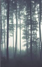 Maybe you would like to learn more about one of these? Dreamy Foggy Forest Scene Mural Misty Forests Mural Forest Etsy Forest Wallpaper Forest Mural Tree Wallpaper Mural