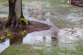Yard drainage can be related to your foundation issues, or they may cause future foundation problems if not addressed early. Yard Drainage Services