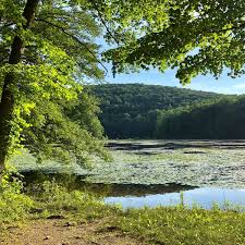 There have been at least three reports of murder along this road. Photos At Ghost Lake Shades Of Death Road Belvidere Nj