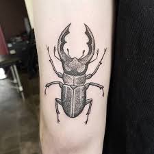 35 Cool Beetle Tattoo Designs For Insect Lovers Tattoobloq Beetle Tattoo Bug Tattoo Insect Tattoo Download 1,300+ royalty free beetle tattoo vector images. 35 cool beetle tattoo designs for