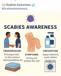 Image result for scabies transmission