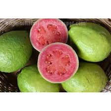 Check spelling or type a new query. Promo Buah Jambu Biji Merah Shopee Indonesia