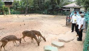 Variatif (selengkapnya baca di … tiket rusa (reguler) : Bp Batam Akan Kembangkan Mini Zoo Di Taman Rusa Barakata Id