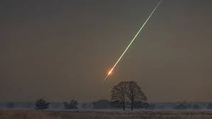 جفتگیری اسب و خر