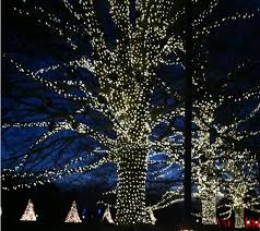 Christmas At Longwood Gardens Longwood Gardens Christmas Longwood Gardens Christmas Travel Destinations