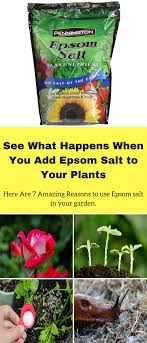 Balconygardenideas Com Nbspthis Website Is For Sale Nbspbalconygardenideas Resources And Information Lawn Care Epsom Salt Uses Garden Prepping
