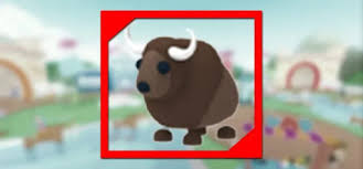 When different gamers try and make cash at some stage in the game. Roblox Adopt Me Pets Quiz Answers 100 Score All Quiz Answers