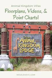 21 Best Animal Kingdom Villas Dvc Images Disney Vacation