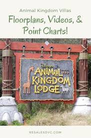 21 best animal kingdom villas dvc images disney vacation