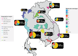 N health cambodia is healthcare service provider. Evolutionary Histories And Antimicrobial Resistance In Shigella Flexneri And Shigella Sonnei In Southeast Asia Communications Biology
