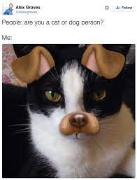 18 Perfect Tweets About Cat People Vs Dog People Cat People Cats Dog People