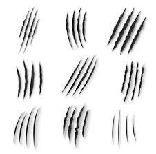 Claw scratches isolated on transparent hand drawn mammal track. Claws Scratches Isolated Vector Wild Animal Nails Rip Tiger Royalty Free Cliparts Vectors And Stock Illustration Image 155205732