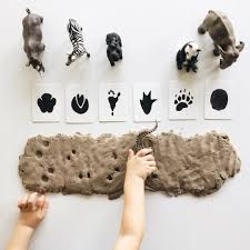 Beschränkte abbildungen bilden einen normierten vektorraum und enthalten viele weitere wichtige mengen von abbildungen. Tierspuren Auf Der Suche Nach Tierspuren Eignet Sich Zaubersand Besonders Gut Montessori Activities Toddler Activities Fine Motor Skills Activities