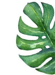 Lynn Truitt and Jason Johnson's Wedding Website