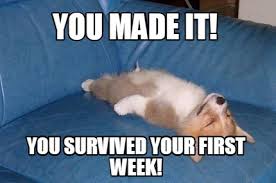 Meme Maker - you-made-it-you-survived-your-first-week