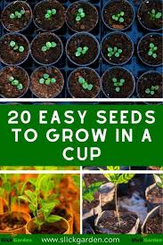 You can start growing flower seeds indoors, in a planter, or outside in your garden or flower bed. 20 Easy Seeds To Grow In A Cup Seeds To Sow Grow With Kids Slick Garden Seed Planting For Kids Growing Seeds Growing Plants Indoors