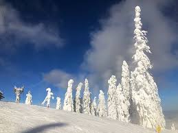 You find ski slopes and schools, good food and wonderful mark treks in the woods. Excellent Lessons By Ski Snowboard Lessons Review Of Skilessons Ro Poiana Brasov Romania Tripadvisor