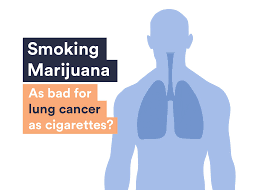 You don't have any signs or symptoms of lung cancer. Does Smoking Marijuana Cause Lung Cancer Top Experts Tell Survivornet A Public Health Crisis Is Coming Survivornet