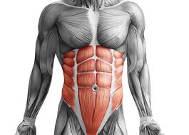 Dietyfitness Notre Programme Special Tablette De Chocolat 6 Pack Muscle Abdominal Musculation Programme Musculation