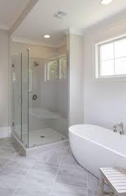 Soaking Tub And Stand Up Shower Bathroom With White Shiplap Shower Remodel Small Shower Remodel Bathrooms Remodel