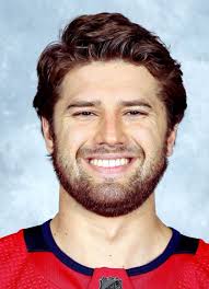 Mitchell Gibson (b.1999) Hockey Stats and Profile at hockeydb.com