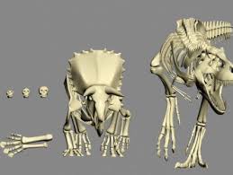 Pin On Dinosaurs Free 3d Models
