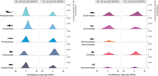 Image result for Pycreus capillifolius